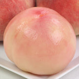 【6月販売】山梨産温室桃【秀品】4~6玉産地化粧箱入