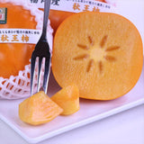 福岡産秋王(あきおう)柿「青秀品」産地箱入