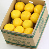 愛媛産マルエムフルーツアイランド産 美生柑(みしょうかん) 10㌔産地箱 22玉入