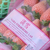 長野産シャインマスカット・奈良産淡雪(あわゆき)アソート