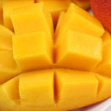 宮崎産完熟マンゴー【赤秀A品】4Lサイズ1玉化粧箱入