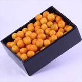 宮崎産種無し金柑「夢丸(ゆめまる)」化粧箱入