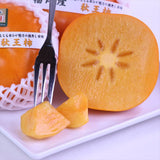 福岡産秋王(あきおう)柿「青秀品」9玉化粧箱入