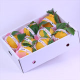 和歌山産AQ(有田クオリティ)葉付デコポン「赤秀品」産地箱入