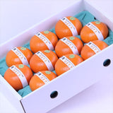 佐賀産はまさき【赤秀品】産地化粧箱入