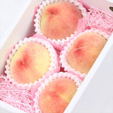 山梨産温室桃【秀品】4~6玉産地化粧箱入