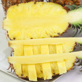 台湾産パイン 金鑚パイン 2玉化粧箱入