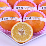 愛媛産宮内いよかん【赤秀品】9玉化粧箱入