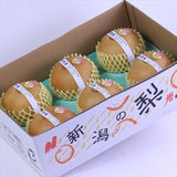 新潟産新高梨一糖賞(いっとうしょう)【特秀品】産地箱入