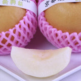 京都産または新潟産新興(しんこう)梨【秀品】9玉化粧箱入