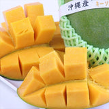 沖縄産キーツマンゴー「秀品」大玉サイズ1玉産地化粧箱入