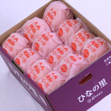 愛媛最高級ブランドみかん 真穴みかん「ひなの里」24~40粒産地化粧箱入