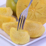 愛知産温室次郎柿【秀品】9玉化粧箱入