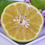 USA産カクテルフルーツ6玉化粧箱入