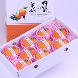 大分産杵築の美娘(きつきのみこ) 【特選品】産地化粧箱