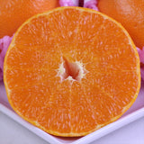 佐賀JAからつ産温室せとか【赤秀品】 6玉化粧箱入