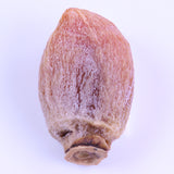 富山産干柿「赤秀品」産地化粧箱入「大箱タイプ」