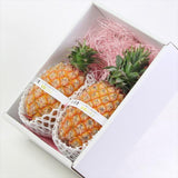 台湾産パイン 金鑚パイン 2玉化粧箱入