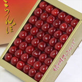 長野産 佐藤錦【秀品】300g化粧箱入