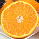 JA紀南産木熟301デコポン【秀品】糖度15度以上3㎏産地箱入