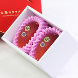 宮崎産完熟マンゴー 太陽のタマゴ「青秀品」3Lサイズ2玉産地化粧箱入