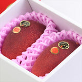 宮崎産完熟マンゴー 太陽のタマゴ「赤秀品」3Lサイズ2玉産地化粧箱入