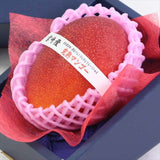 宮崎産完熟マンゴー【赤秀A品】5Lサイズ1玉化粧箱入