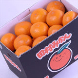 和歌山県湯浅産田村みかん【赤秀品】3キロ産地箱入