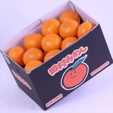 和歌山県湯浅産田村みかん【赤秀品】3キロ産地箱入