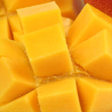 宮崎産完熟マンゴー 太陽のタマゴ「赤秀品」5Lサイズ1玉産地化粧箱入