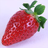 和歌山産まりひめ【秀品】2P化粧箱入