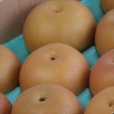 金沢産秋月梨【秀品】12~14玉産地箱入