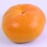 愛媛産太天柿「福嘉柿」産地箱入