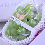 岡山産マスカット・ジパング【赤秀品】1房化粧箱入