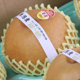 新潟産新高梨一糖賞(いっとうしょう)【特秀品】産地箱入