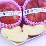 長野産シナノリップ【秀品】12玉化粧箱入