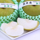 熊本産秋麗梨(しゅうれいなし)【赤秀品】6玉化粧箱入