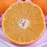 大分産杵築の美娘(きつきのみこ) 【特選品】産地化粧箱