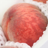 【6月販売】山梨 JAふえふき八代産温室桃 一桃匠(いっとうしょう)産地化粧箱入