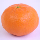 愛媛産甘平(かんぺい)【赤秀品】6玉化粧箱入