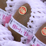 愛媛JAたいき産甘熟キーウィ「愛み(まなみ)キーウィ」10玉化粧箱入