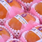 和歌山産紀ノ川柿【赤秀品】産地箱入