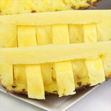 台湾産パイン 金鑚パイン 2玉化粧箱入