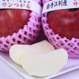 岩手江刺産サンつがる 糖度13.5度以上【秀品】12玉化粧箱入