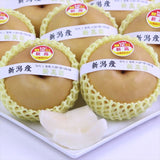 新潟産新高(にいたか)梨【秀品】9玉化粧箱入