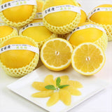 愛媛産マルエムフルーツアイランド産 美生柑(みしょうかん) 10㌔産地箱 22玉入