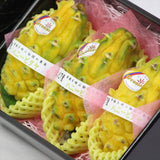 「幸せを呼ぶ伝説の果実」コロンビア産ハニーピタヤ 3玉化粧箱入