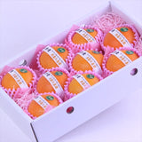 大分産杵築の美娘(きつきのみこ) 【特選品】産地化粧箱