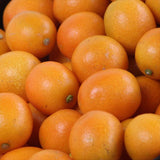 宮崎産種無し金柑「夢丸(ゆめまる)」化粧箱入