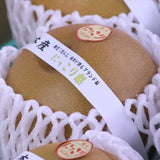 栃木産にっこり梨【赤秀品】産地箱入